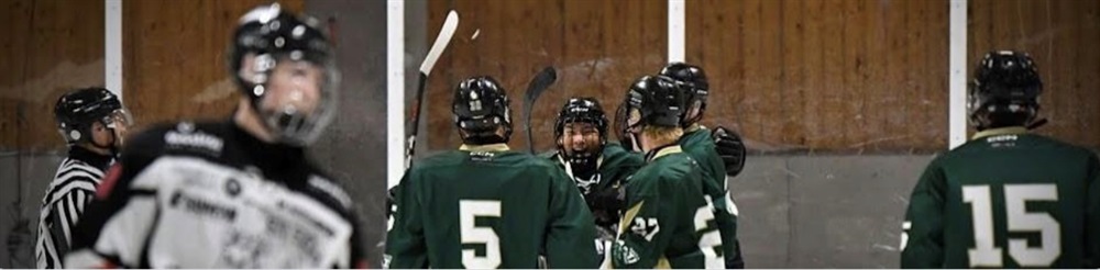 Intresseanmälan till hockeygymnasiet och J18